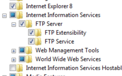 Screenshot che mostra il nodo Internet Information Services e F T P Server espanso con l'opzione F T P Extensibility selezionata.