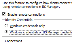 Screenshot della pagina Servizio di gestione con l'opzione Credenziali di Windows o I S Manager Credentials selezionata.