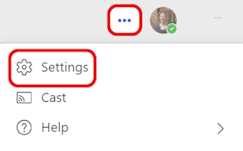 Screenshot del menu Delle impostazioni di Teams