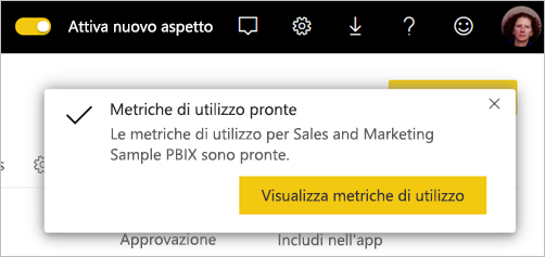 Screenshot del report Sulle metriche di utilizzo pronto.