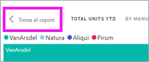Screenshot che mostra il pulsante Torna al report.