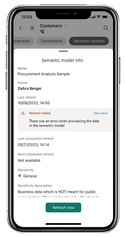 Screenshot della pagina delle informazioni sul modello semantico nell'app Power BI per dispositivi mobili.