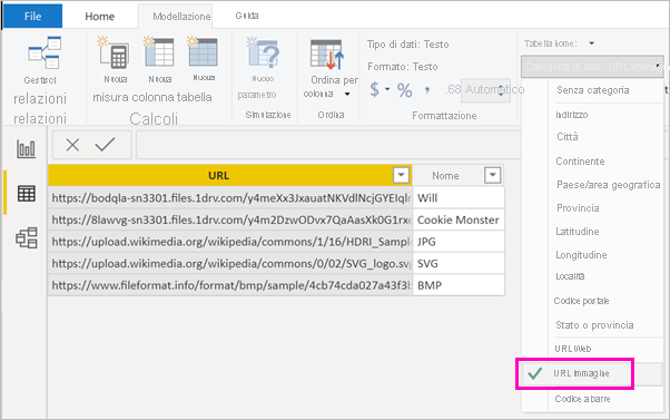 Screenshot del menu Categoria dati con l'evidenziazione dell'URL immagine.