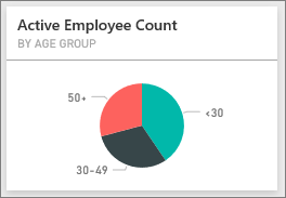 Screenshot che mostra il riquadro Active Employee Count by Age Group.