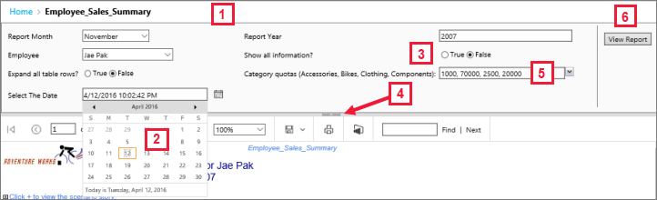 Screenshot di Visualizza report con i parametri.