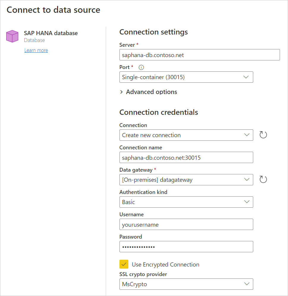 Accesso online al database SAP HANA.