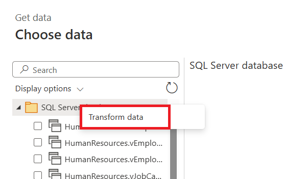 Screenshot della selezione dei dati in cui l'utente ha fatto clic con il pulsante destro del mouse sul nodo del database nello strumento di spostamento, con trasforma dati evidenziati.