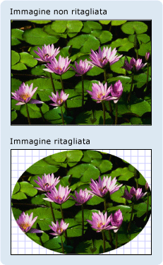 Immagine con e senza area di visualizzazione