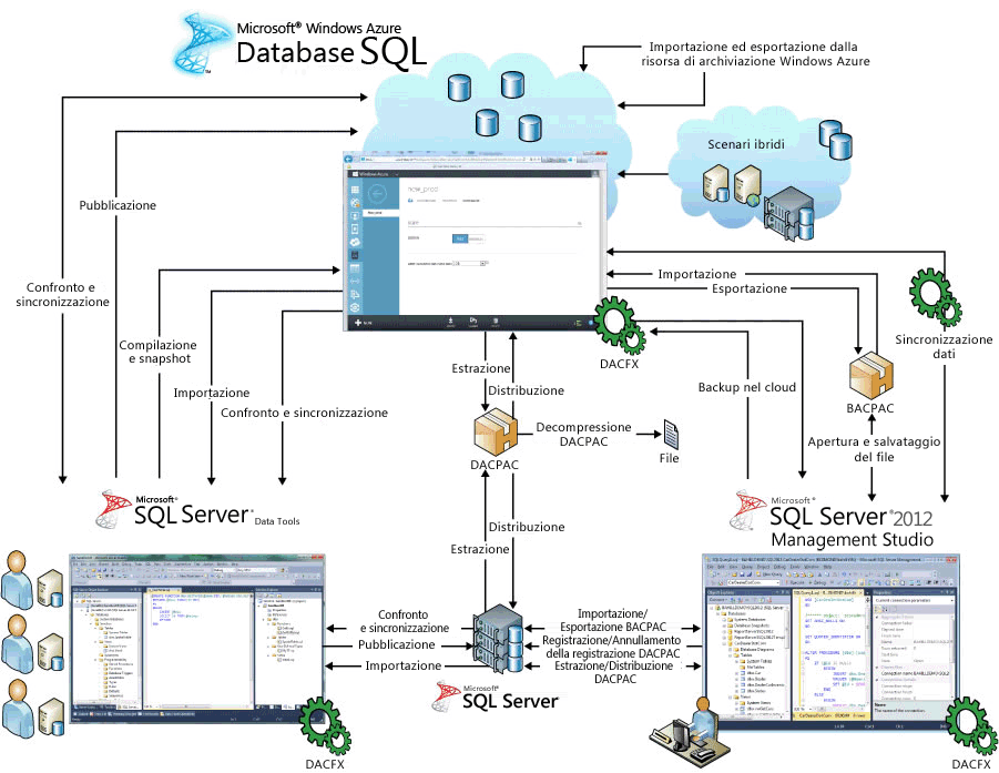 Gestione del ciclo di vita del database