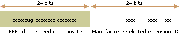 The structure of the 48-bit IEEE 802 address