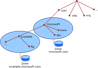 DNS Domain Names and Subdomain Names