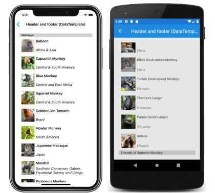 Screenshot di un'intestazione e di un piè di pagina CollectionView usando modelli, in iOS e Android
