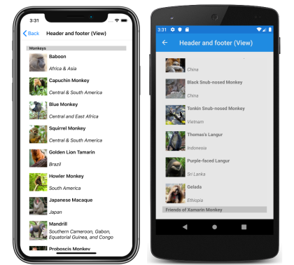 Screenshot di un'intestazione e di un piè di pagina CollectionView usando visualizzazioni in iOS e Android