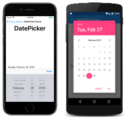 Esempio di DatePicker