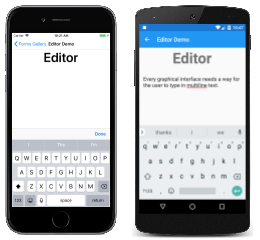 Esempio di editor