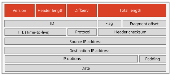 Intestazione IPv4.