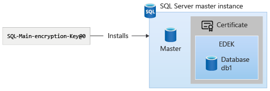 La chiave di crittografia principale di SQL Server è installata nel database master dell'istanza master di SQL Server