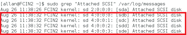 Screenshot del comando grep e della risposta al comando che mostra i dischi SCSI collegati.