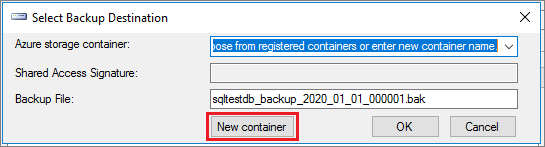 Screenshot della finestra di dialogo Seleziona destinazione di backup con l'opzione Nuovo contenitore evidenziata.