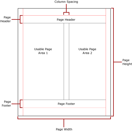 Pagina fisica con colonne illustrate.