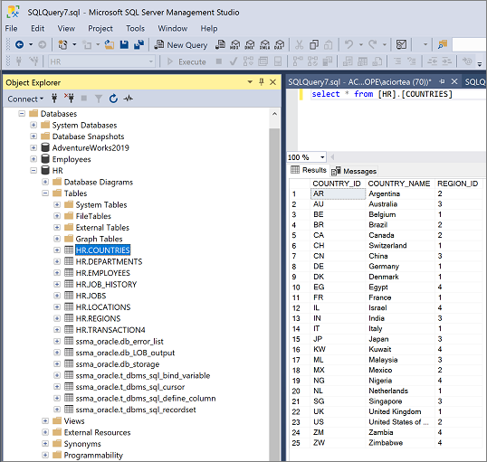 Screenshot di SQL Server Management Server.