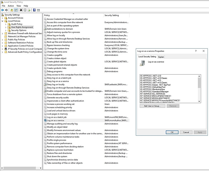 Screenshot che mostra l'autorizzazione di abilitazione dell'accesso al servizio.