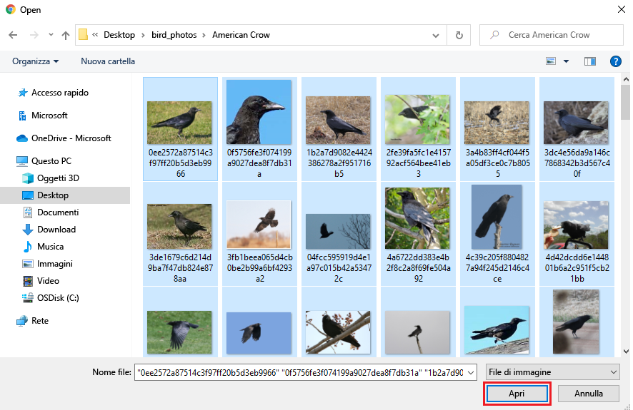 Screenshot che mostra la selezione di tutte le immagini in una cartella relativa a una specie.