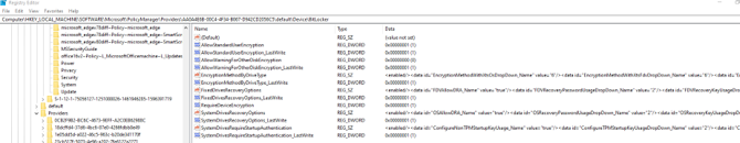 Screenshot dell'editor del Registro di sistema che mostra le impostazioni dei criteri di BitLocker configurate dall'agente MDM