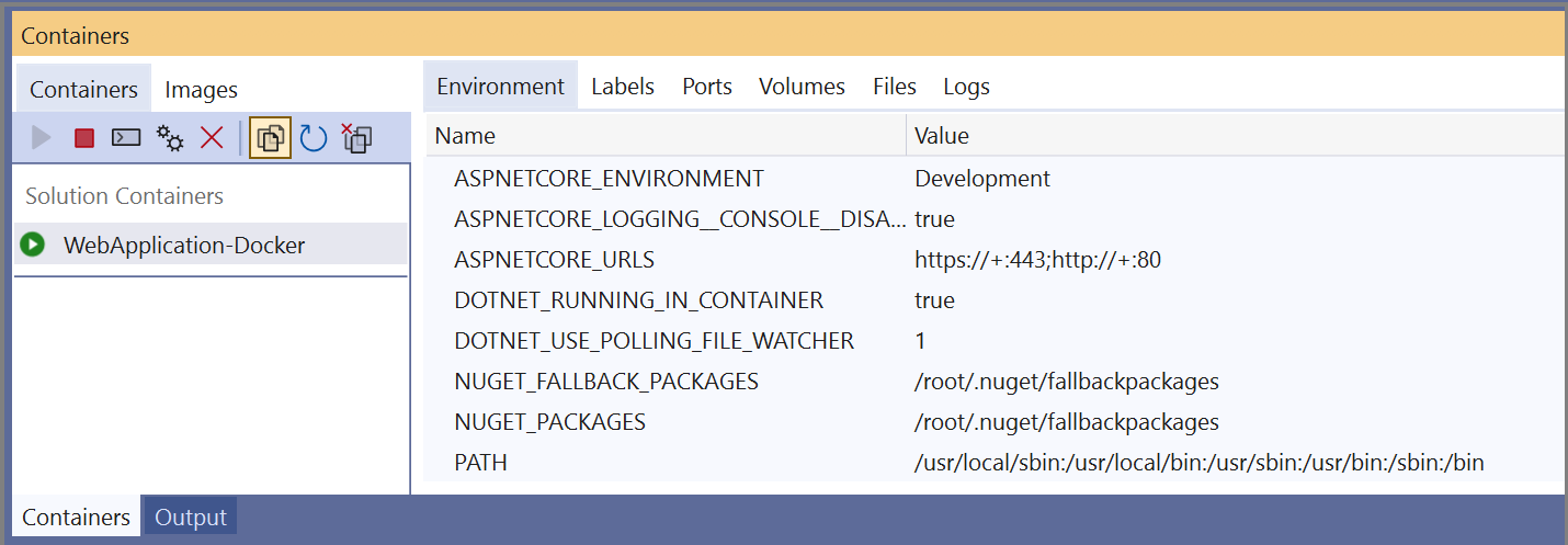 Screenshot della finestra Contenitori in Visual Studio con un contenitore selezionato nel riquadro sinistro e la scheda Ambiente selezionata nel riquadro destro.