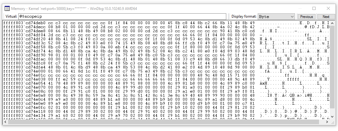 Screenshot della finestra di memoria della visualizzazione WinDbg con varie opzioni di formato di visualizzazione.