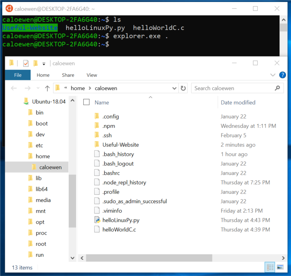 File Linux all'interno di Esplora file.