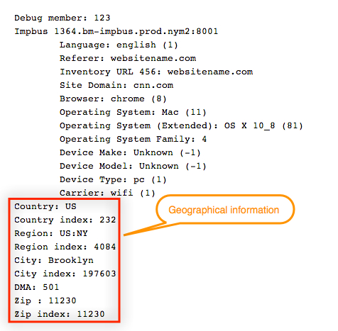 Screenshot of geographical information from a sample debug log.