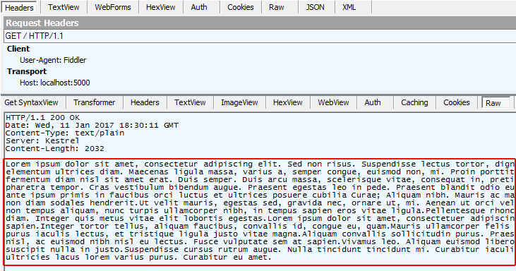 Accept-Encoding ヘッダーのない要求の結果を示す Fiddler ウィンドウ。応答は圧縮されていません。