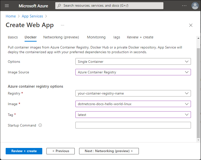 [Azure コンテナー レジストリのオプション] を示すスクリーンショット。