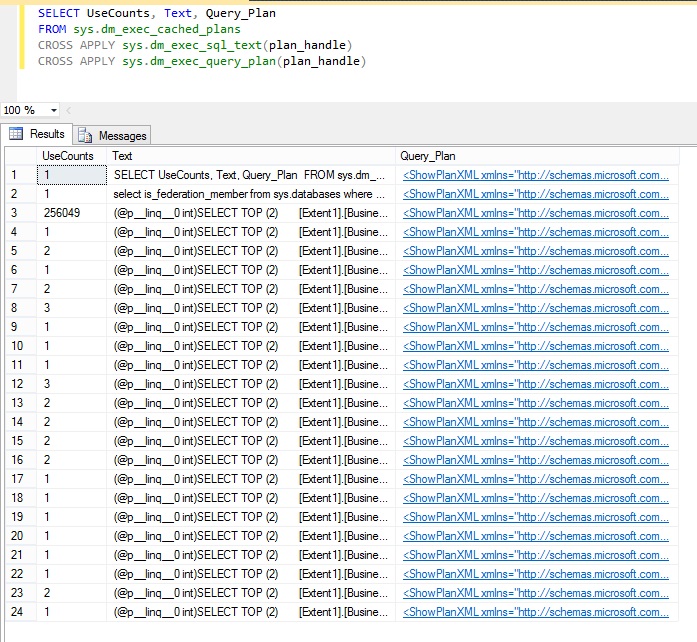 SQL Server Management Server で動的管理ビューにクエリを実行した結果