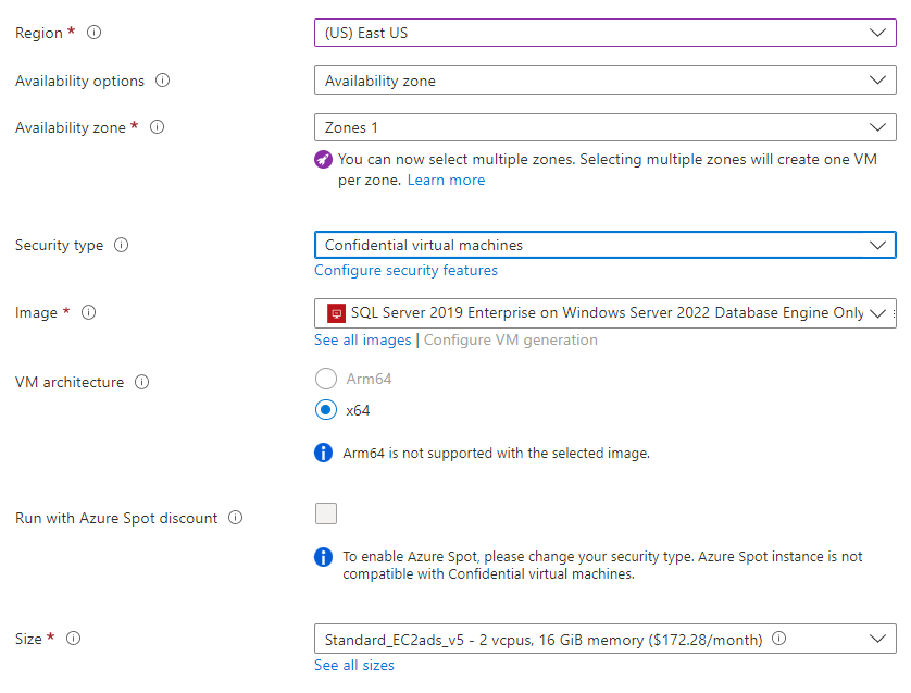 インスタンスの詳細を示す Azure portal のスクリーンショット。