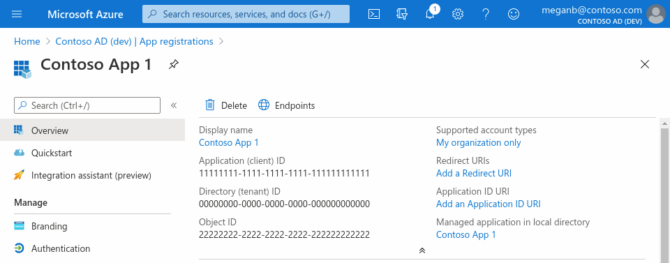 アプリの登録の [概要] ペインを示す、Web ブラウザー内の Azure portal のスクリーンショット。