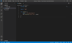 Go のサンプル プログラムを示すスクリーンショット