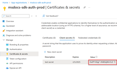 生成されたクライアント シークレットを含むページを示すスクリーンショット。