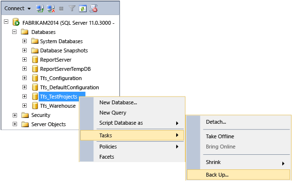 [接続] ウィンドウのスクリーンショット。[FABRIKAM2014 > Tfs_TestProjects > タスク] > [バックアップ] が選択されています。