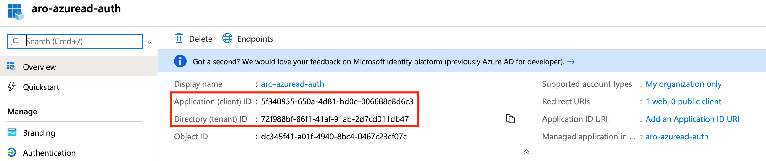 Retrieve Application (client) and Directory (tenant) IDs