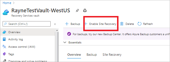 コンテナーで Site Recovery を有効にするためのオプション