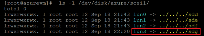 ディスク リストを確認するコードを示すスクリーンショット。結果が強調表示されています。