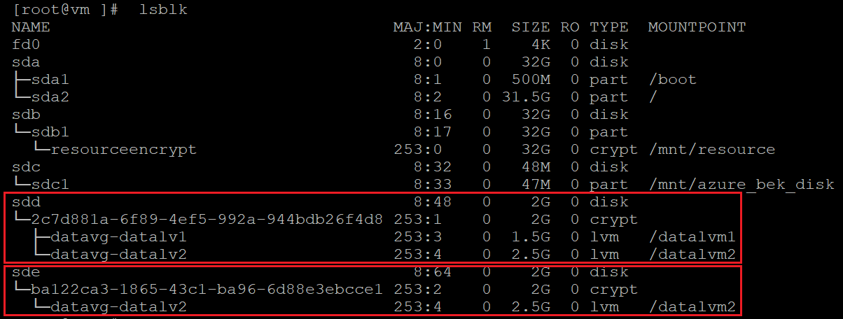 暗号化されたディスクを特定するコードを示すスクリーンショット。結果が強調表示されています。