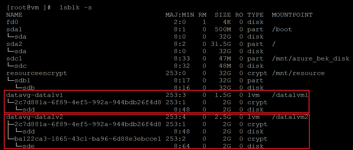 暗号化されたディスクを特定する別のコードを示すスクリーンショット。結果が強調表示されています。