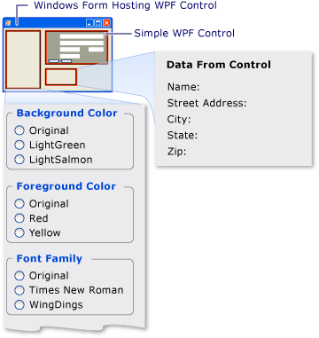 Windows Forms の Avalon コントロールをホスティングしている様子を示すスクリーンショット。