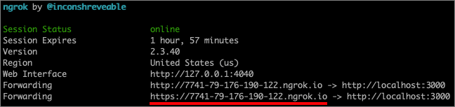 ngrok のパブリック URL を取得する方法を示すスクリーンショット。