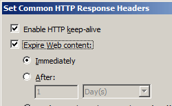 [共通の H T P 応答ヘッダーの設定] ダイアログ ボックスを示すスクリーンショット。[Web コンテンツの期限切れ] チェックボックスの下ですぐに選択されます。