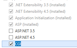 [サーバー ロール] ページのスクリーンショット。[C G I] オプションが選択され、強調表示されています。