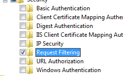 [要求のフィルター処理] が強調表示されている [インターネット インフォメーション サービスとセキュリティ] ウィンドウが展開されているスクリーンショット。